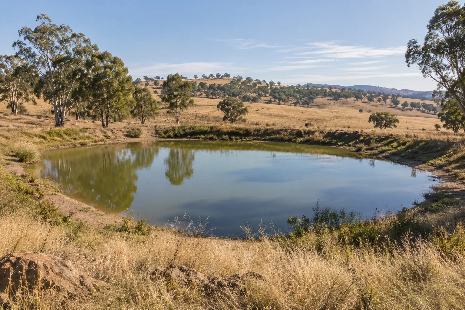Illustrative rural farm dam surrounded by golden pasture and eucalyptus trees